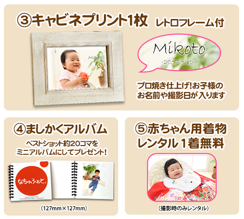 100コマデータセット