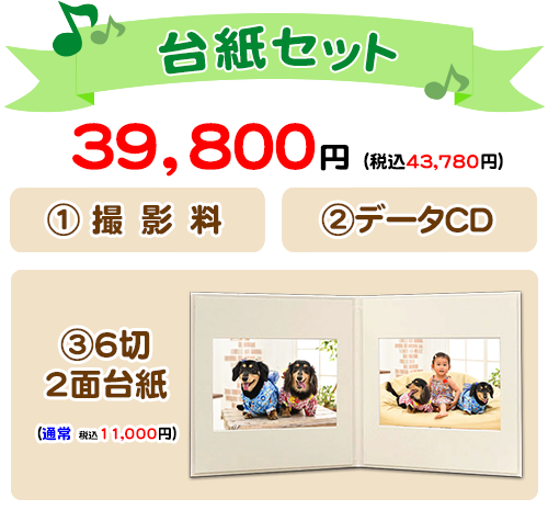 台紙セット