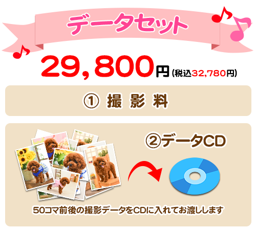 ペットデータセット